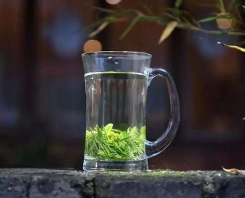茶树排行榜(3200年古树茶1068万)插图31