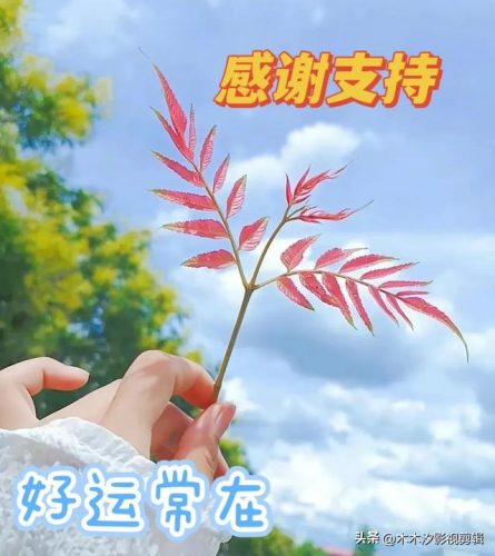 香港宫斗电视剧排行榜(香港tvb宫斗剧大全)插图10