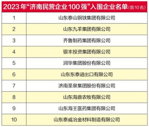济南电气外企排名前十(济南比较好的外企有哪些)插图