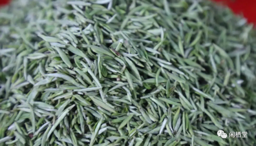 茶树排行榜(3200年古树茶1068万)插图11