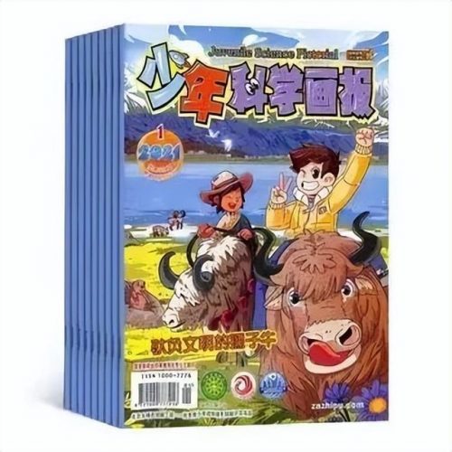 小学读物杂志排名前十(小学六年级课外书推荐)插图7