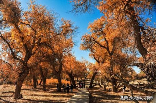 开车排行榜(车排行榜前20名)插图13