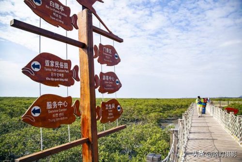 中国海边排名前十(中国最好玩的海边)插图11