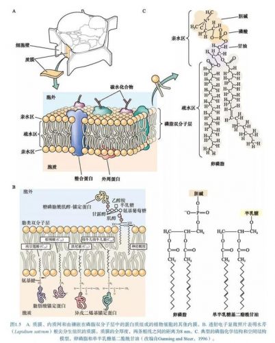 生物海外博士排名前十(全国排名前十的生物菌肥)插图13