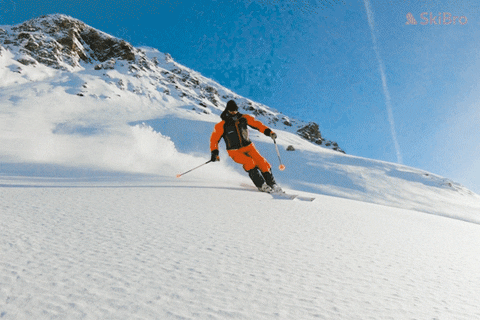欧洲滑雪壮举排名前十(德国滑雪)插图37