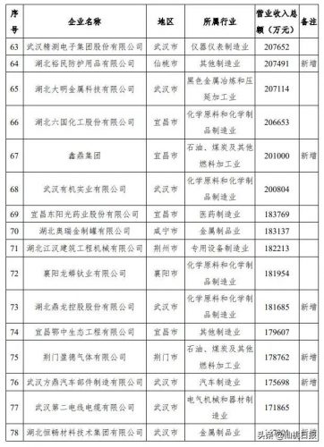 仙桃知名企业排行榜(仙桃最大的10大企业)插图16