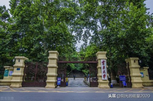 芜湖彝族企业排名前十(2019年芜湖市最好的企业)插图9