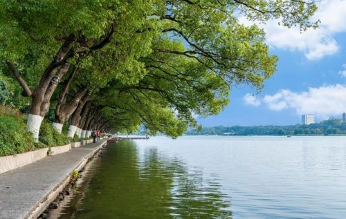 南京旅游景点排行榜(南京旅游需要提前预约的景点)插图34