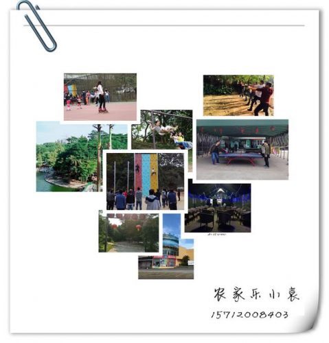 深圳龙岗烤全羊排名前十(深圳哪里有卖烤全羊架子的)插图8