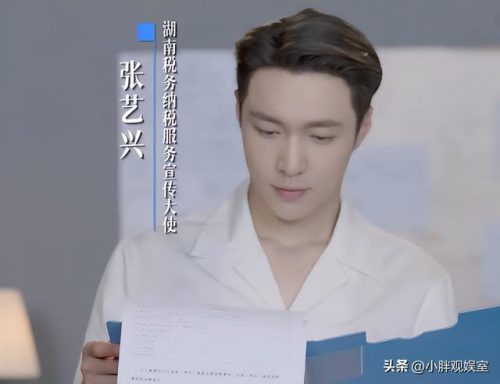 各国国民明星排名前十(国民素质排名)插图12