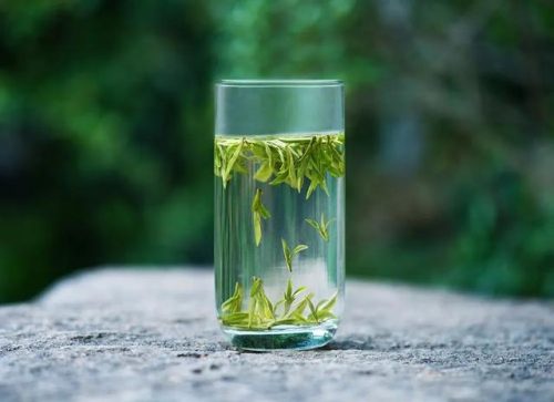 茶树排行榜(3200年古树茶1068万)插图