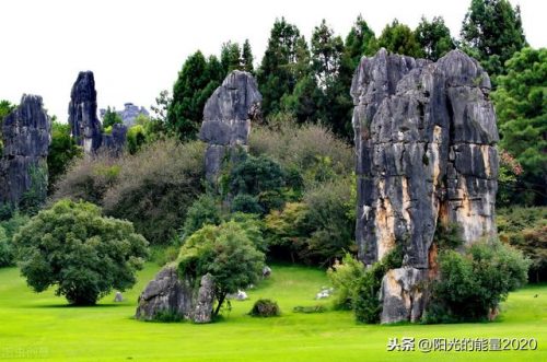 芜湖彝族企业排名前十(2019年芜湖市最好的企业)插图12