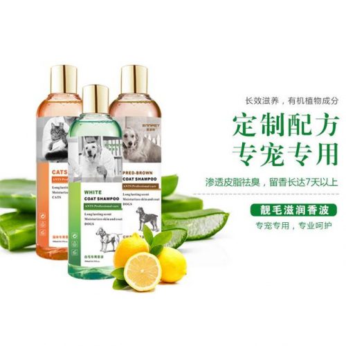 泰迪狗狗沐浴露排行榜(口碑最好的十大狗沐浴露)插图1