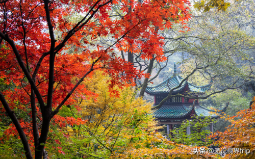 湖南的旅游景点排行榜(湖南周边好玩的旅游景点推荐)插图16