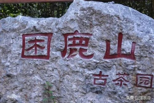 产地茶叶价格排名前十(云南十大名茶排名)插图8