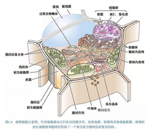 生物海外博士排名前十(全国排名前十的生物菌肥)插图12