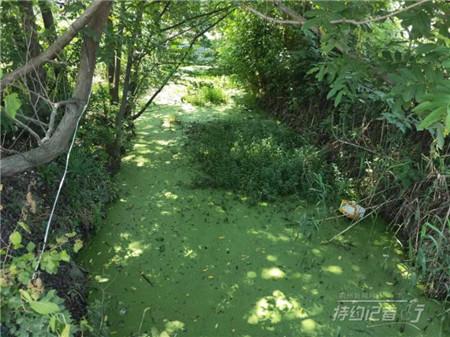 松滋风水公司排名前十(松滋城建)插图5