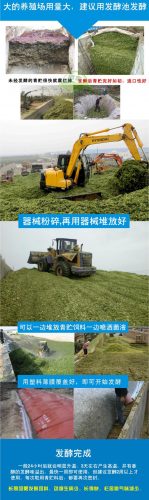 广西草类品种排名前十(广西野生植物大全图)插图34