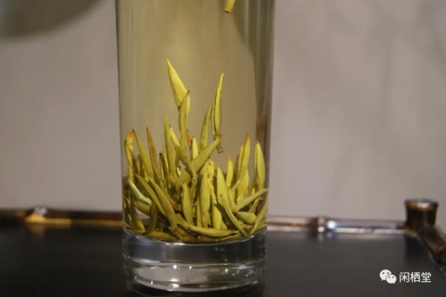 茶树排行榜(3200年古树茶1068万)插图6