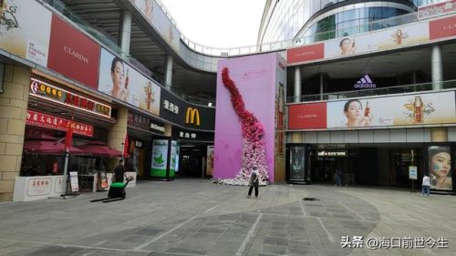 海口商圈房产排名前十(海口最繁华的购物中心)插图10