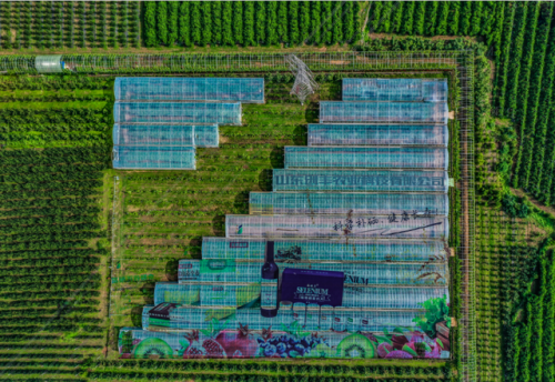 淄川高档酒楼排名前十(淄川汇泉酒楼)插图10