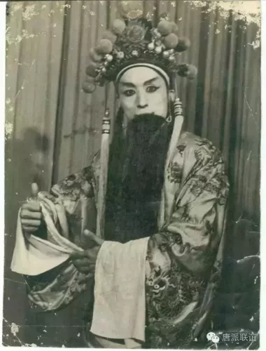 豫剧唐喜成徒弟排行榜(豫剧唐派最出色的弟子)插图2