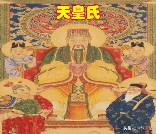 鼠年排行榜(仓鼠粮牌子排名)插图5