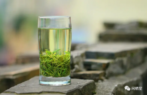 茶树排行榜(3200年古树茶1068万)插图30
