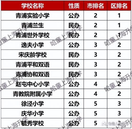 宝山排名前十的小学(上海宝山初中排名最新排名)插图13