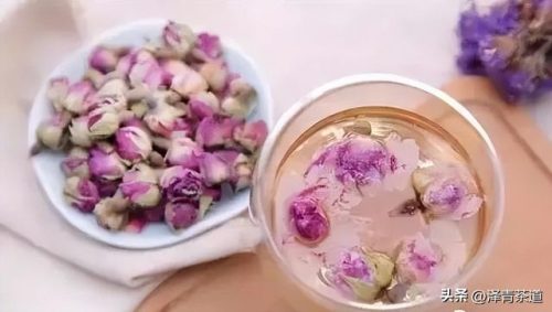 新疆茶树品种排名前十(茶树苗什么品种好)插图24