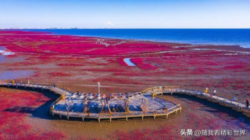 盘锦正规旅行社排行榜(营口口碑好的旅行社)插图5