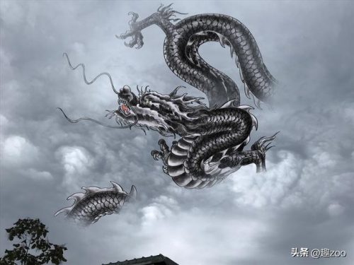 舞龙排行榜(舞龙叫什么名字最好)插图8