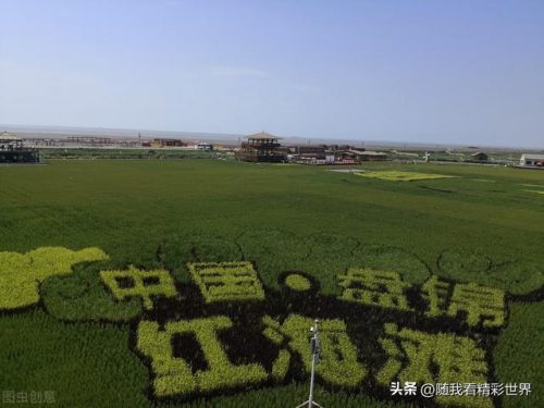 盘锦正规旅行社排行榜(营口口碑好的旅行社)插图