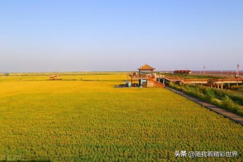 盘锦正规旅行社排行榜(营口口碑好的旅行社)插图3