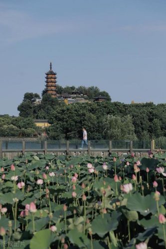 镇江游玩景点排名前十(镇江5a景区)插图30