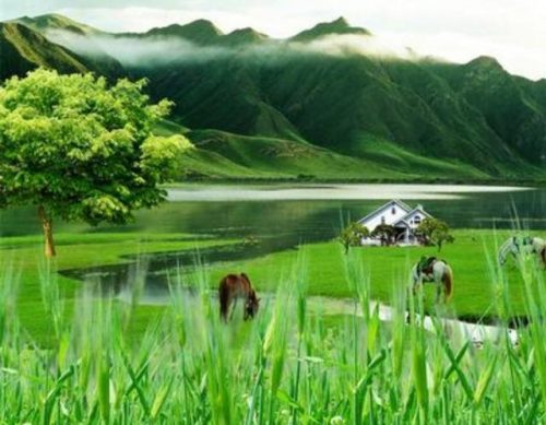 种田文小说排行榜完本(十大巅峰种田文小说)插图3