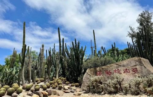 厦门好玩的景点排行榜(厦门都有哪些旅游景点)插图1