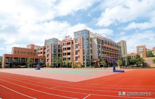 晋江优质小学排名前十(晋江市最好的三所小学)插图2