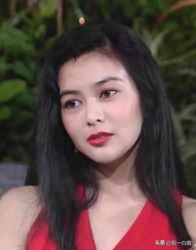 最美爱国港姐排名前十(公认最美的十大港姐)插图10