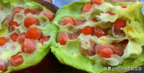 芡实排行榜(中国最好的芡实排名)插图