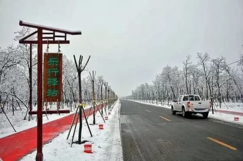 温县婚纱摄影排名前十(李氏婚纱摄影)插图17