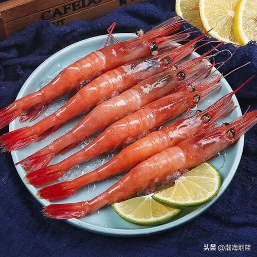 国内虾价格排名前十(大虾价格今日价)插图14