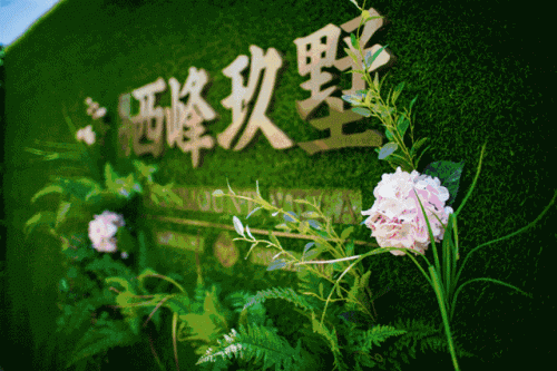 扬州顶级豪宅排名前十(扬州别墅小区有哪些)插图6