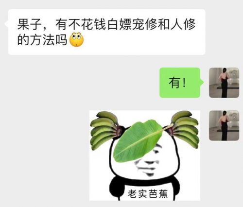 梦幻西游人物修炼怎么提升(梦幻修炼21提升25最佳方案)插图