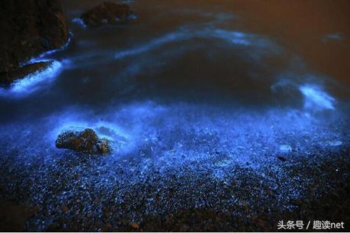 2017小说排行榜前十名完结(2017年度十佳网络小说)插图9