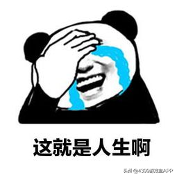 情怀排行榜(什么是大情怀)插图9