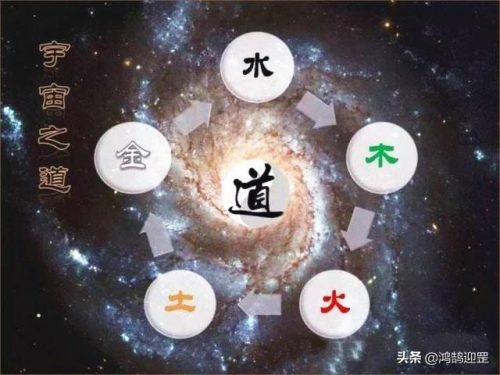 鼠年排行榜(仓鼠粮牌子排名)插图2