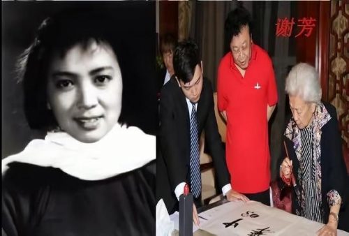 中国最老明星排行榜(经典老明星名字)插图10