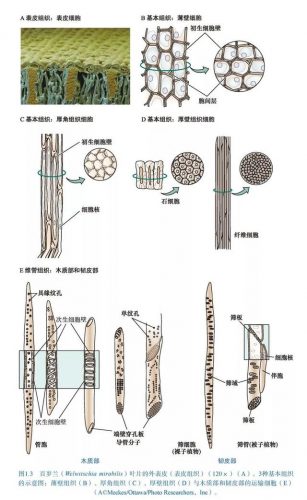 生物海外博士排名前十(全国排名前十的生物菌肥)插图14