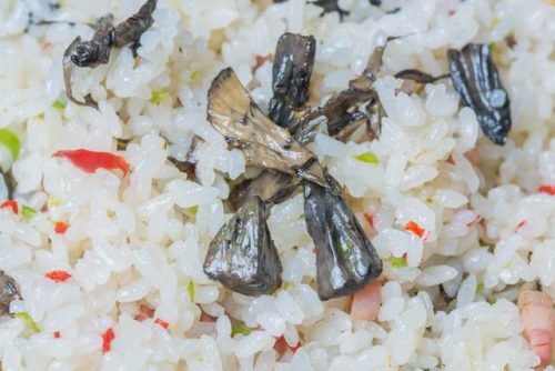 昆明菌类餐饮排名前十(云南最好吃的菌类排名)插图34